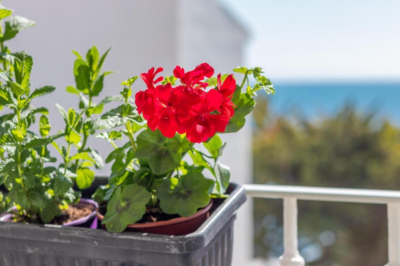 Luz De Altea Apartment Luaran gambar